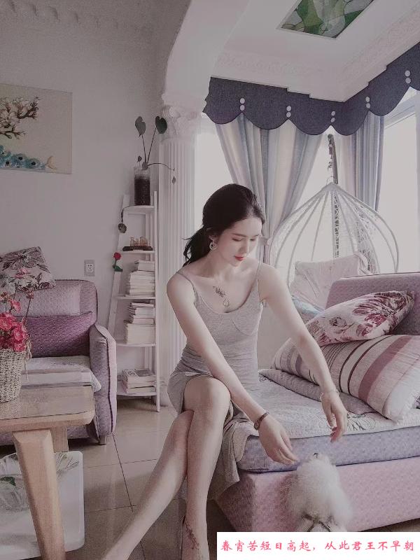滨江莞式导师小猫咪 第1张