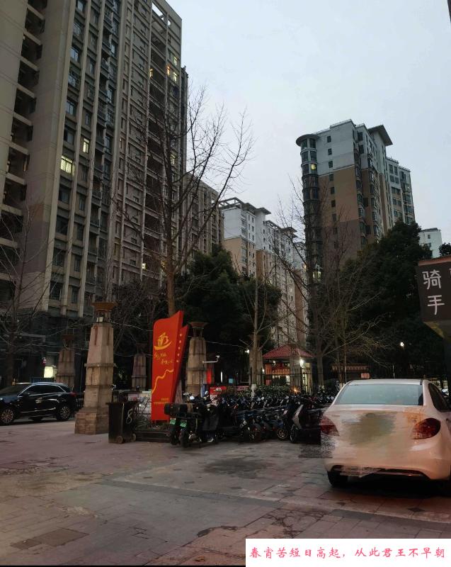 大胸米雪儿 第4张