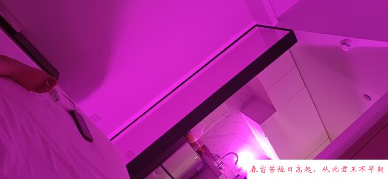 南山李木子 第3张