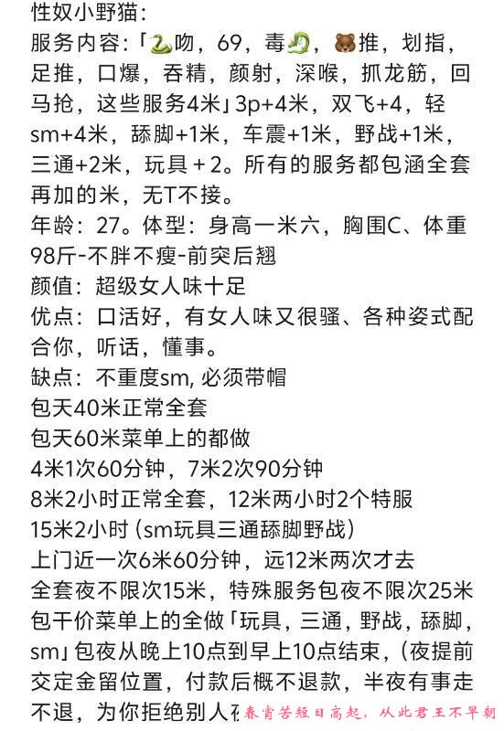 双飞小母狗 第4张