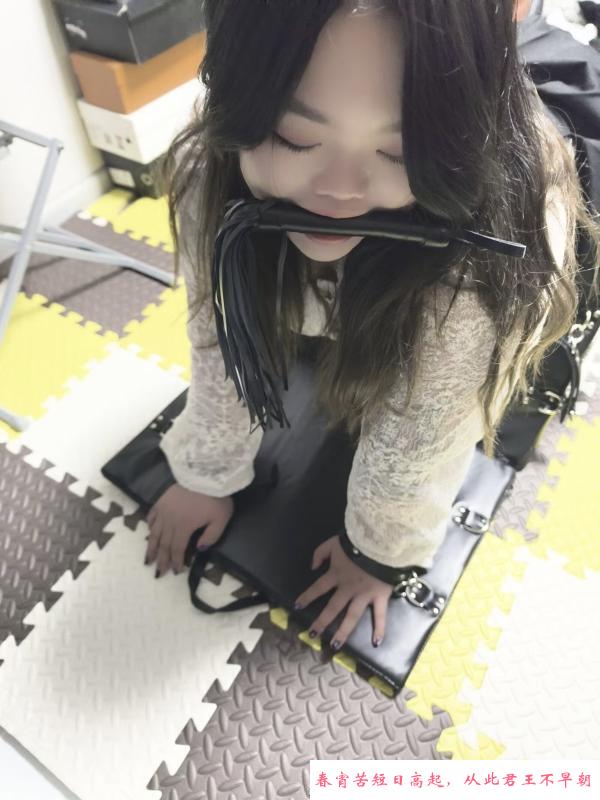 沈阳母狗女m 第2张