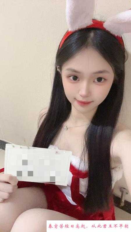 圣诞兔小雯 第2张