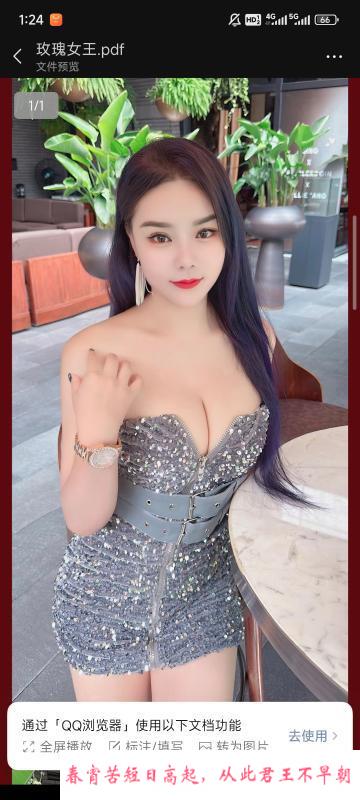 金牛玫瑰回归 第1张
