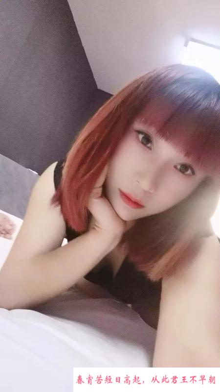 金水区服务温柔型 第2张