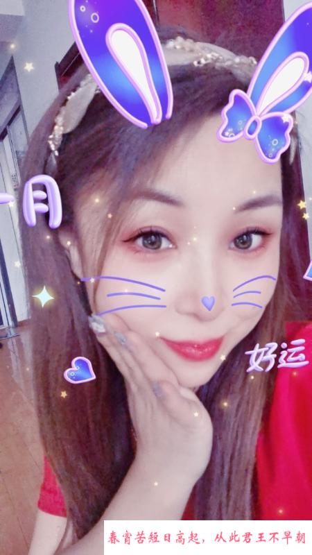 北辰小燕子 第1张