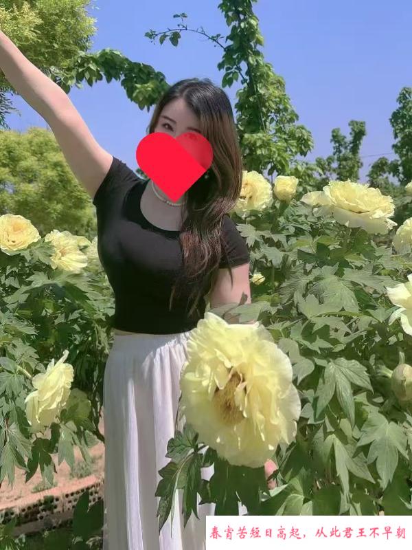 包河服务型气质少妇 第1张