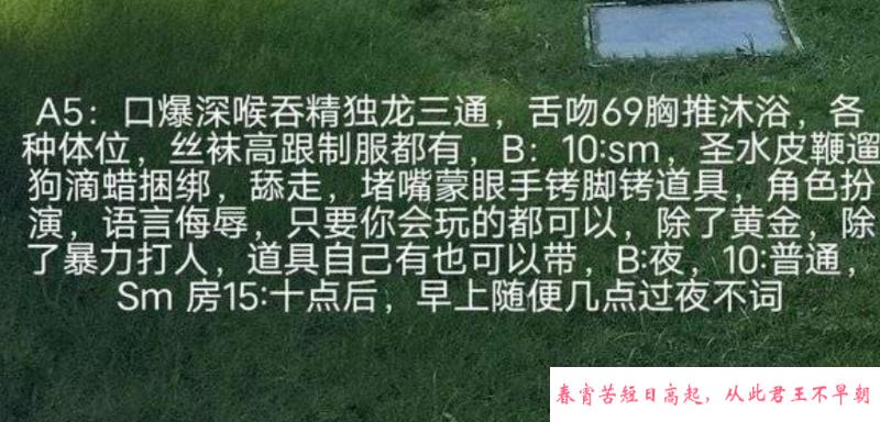 重口熟女 第1张