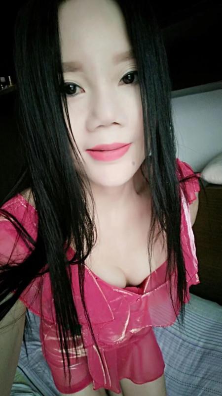 西门火玫瑰 第1张