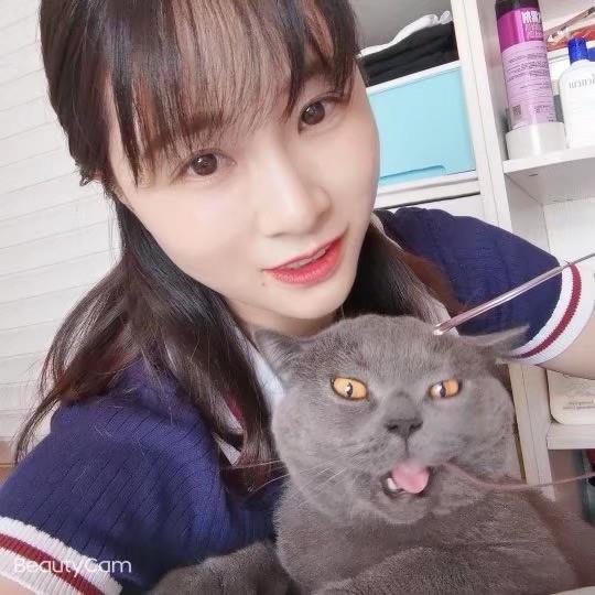 茯苓小姐姐 第1张