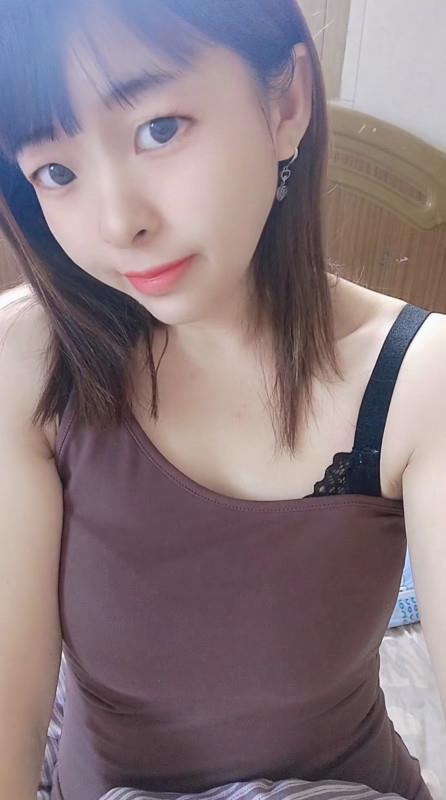 欣逸家园小猫 第3张
